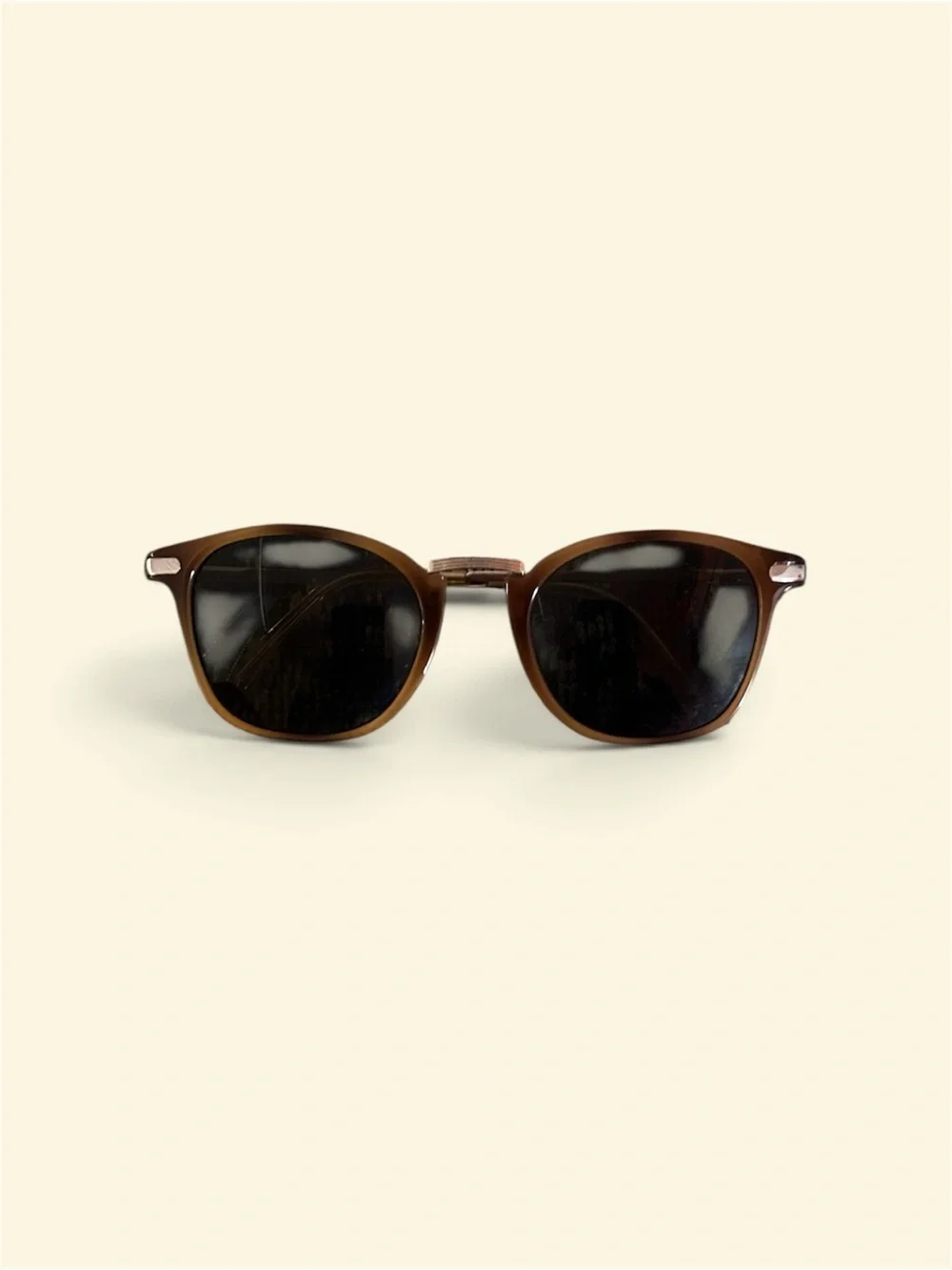 Men's Brown Polarized Sunglasses - Classic Round Frame